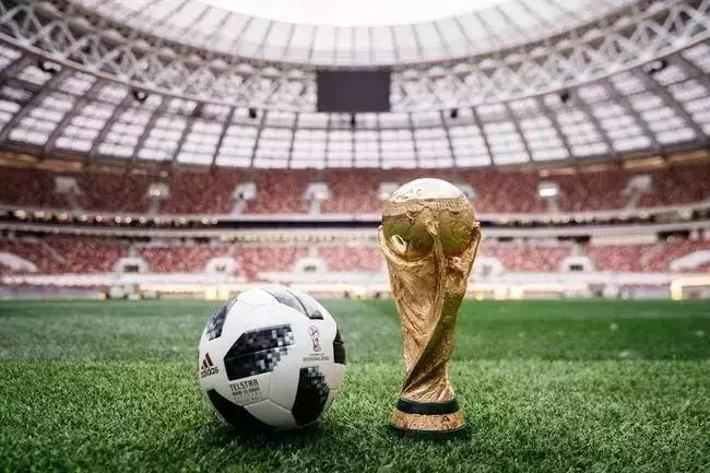 2018 年俄罗斯世界杯：足球与格斗的激情碰撞，细数绿茵场上的格斗好手